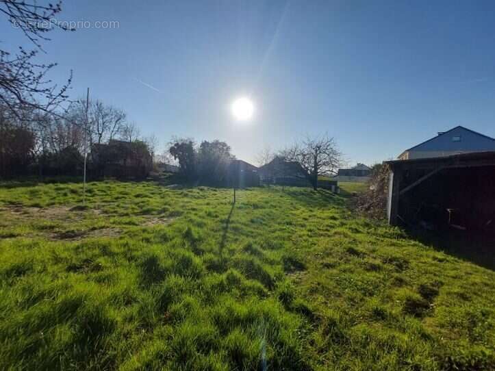 Terrain 882 m² à Muneville-Sur-Mer  - photo 4