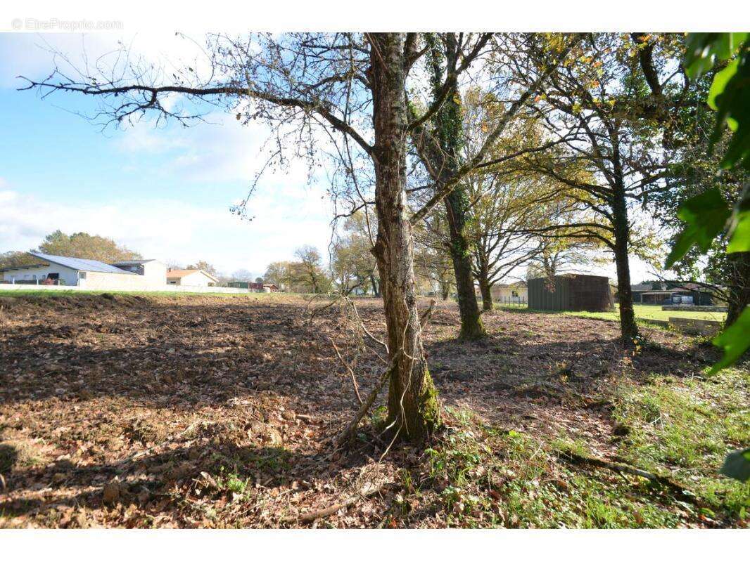 Terrain à PORCHERES