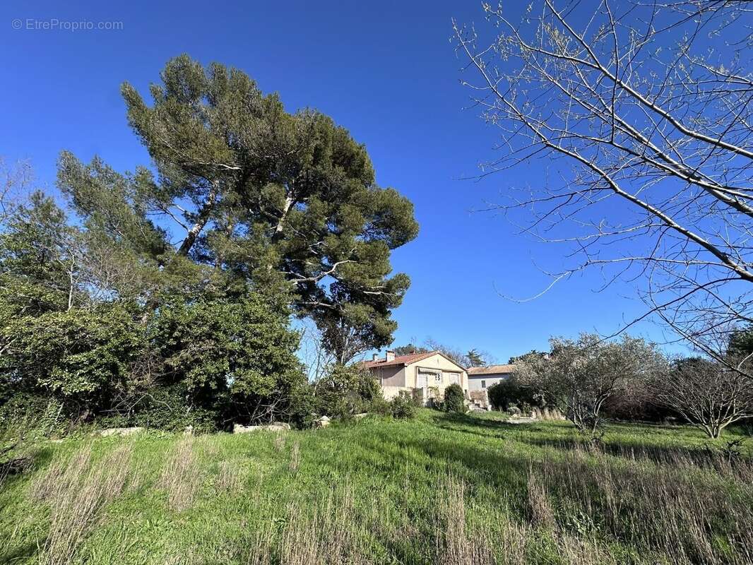 Maison à MONTPELLIER