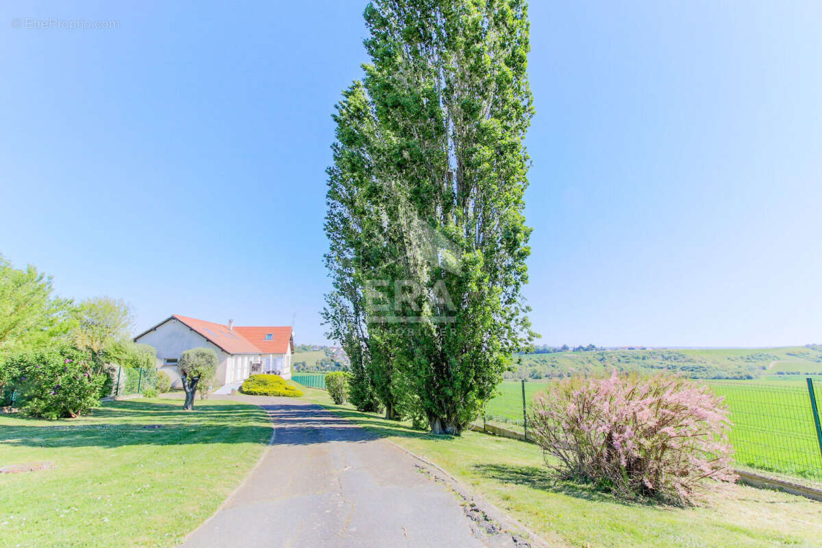 Maison à BEYNES