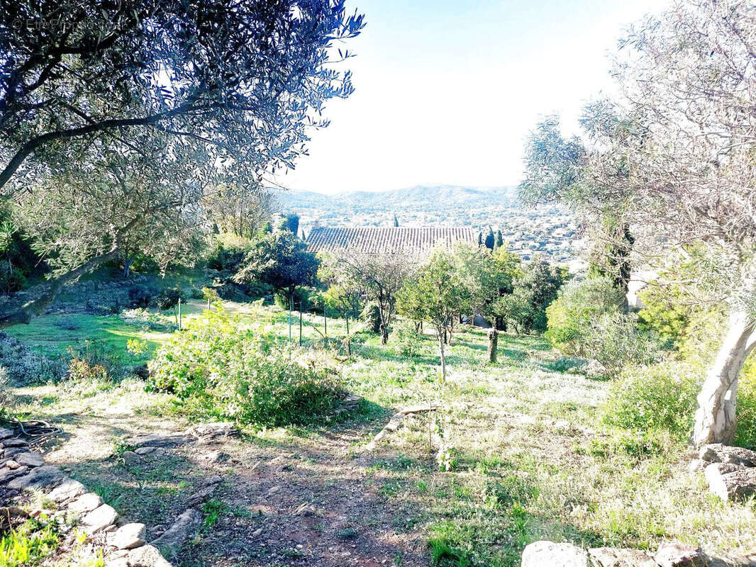 Maison à LE LAVANDOU