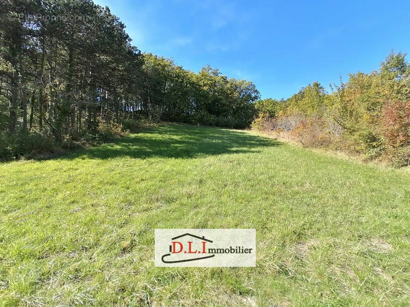 Terrain à MALAUSE
