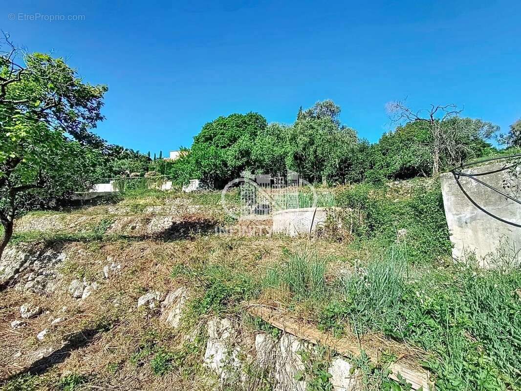 Terrain à VALLAURIS