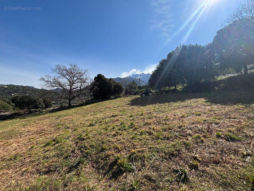 CALENZANA - Vente terrains à bâtir- Lotissement BIANCA - photo 7