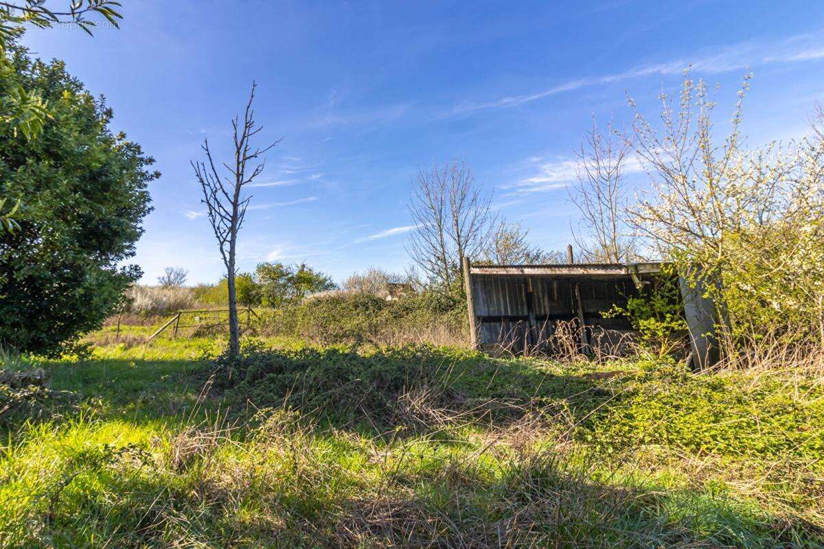 Maison Genouilly 6 pièce(s) 104 m2 - photo 16