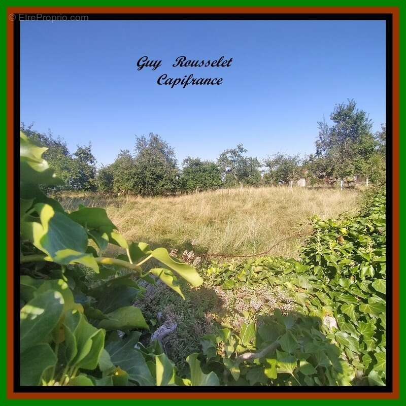 Terrain à VIC-DE-CHASSENAY