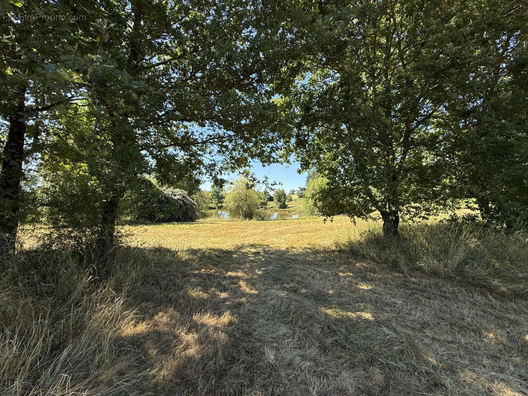 Terrain à BEYSSENAC