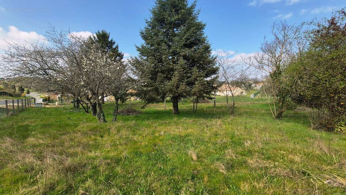 Terrain à EGLISE-NEUVE-DE-VERGT
