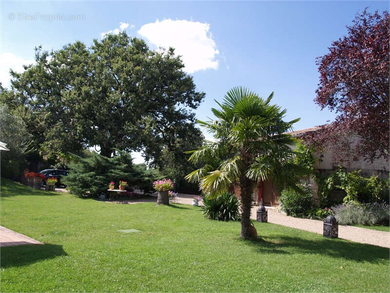 Dpt Tarn (81), à vendre PUYLAURENS maison P9 de 260 m² - Terrain de 5 571,00 m² - photo 39