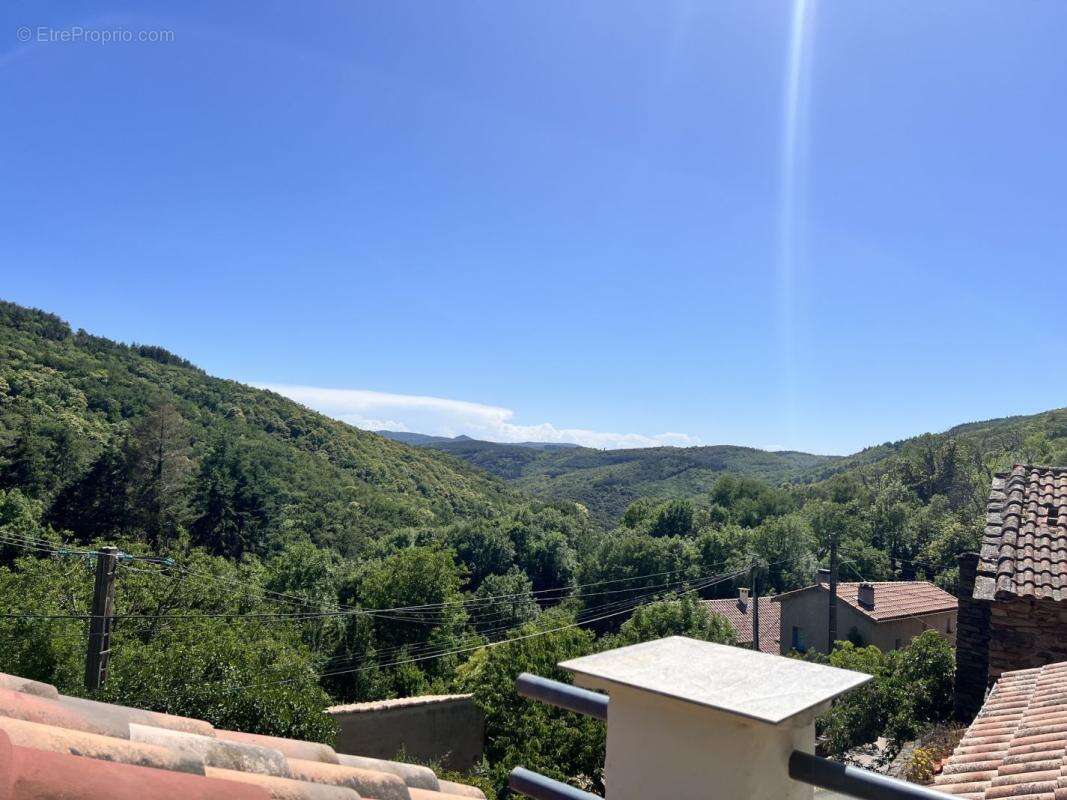 Maison 198 m² à Riols  - photo 3