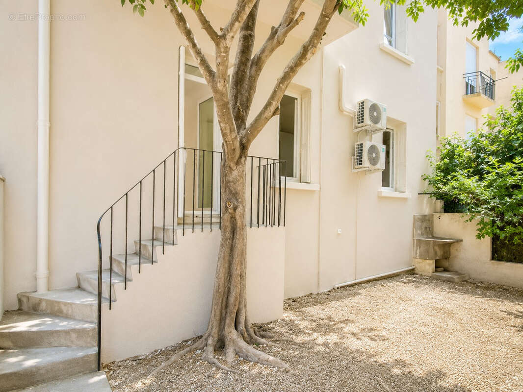 Un appartement avec jardin privatif, a perpignan, palais des rois de majorque - photo 6