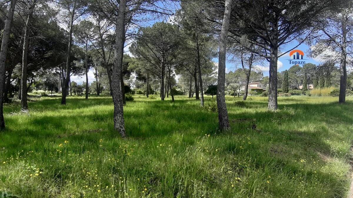 Terrain à PUGET-SUR-ARGENS