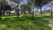 Terrain à PUGET-SUR-ARGENS