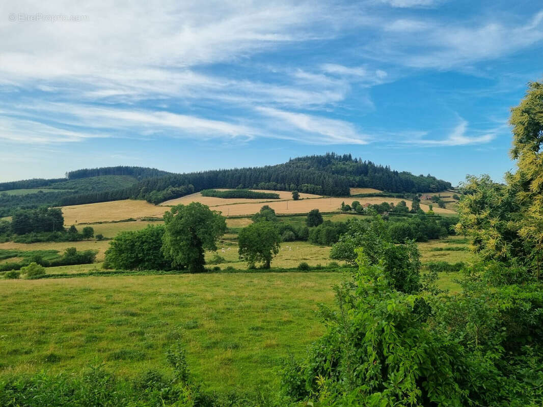 Photo 5 - Maison à MONTMELARD