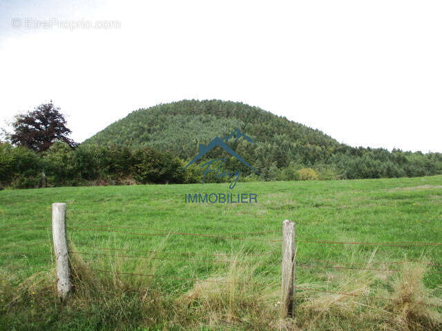 Terrain à BRUYERES