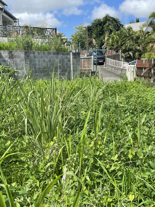 Terrain à SAINT-PAUL