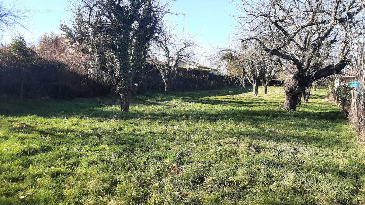Terrain à LENS-LESTANG