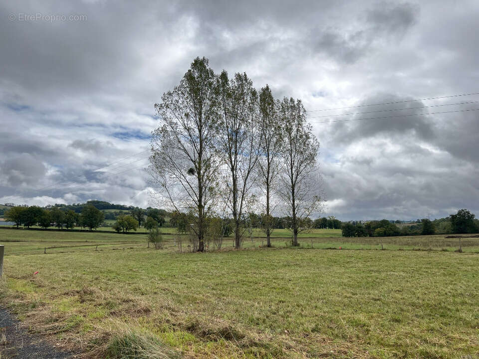 Terrain à NAUCELLES