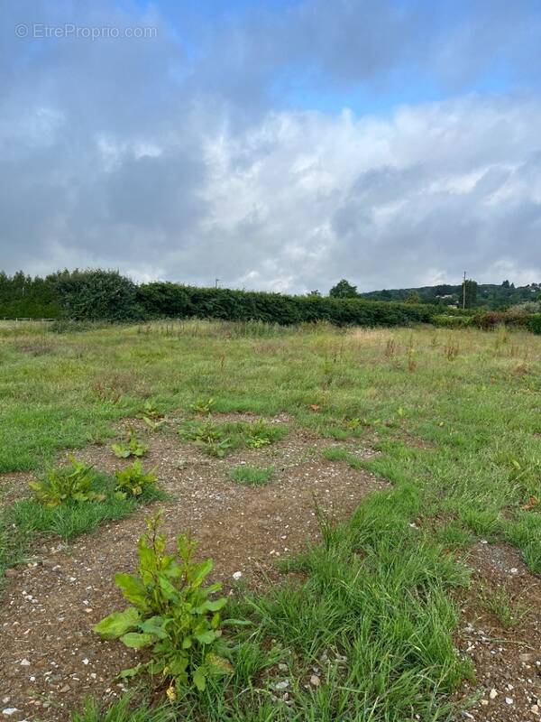Terrain à NEUFCHATEL-EN-SAOSNOIS