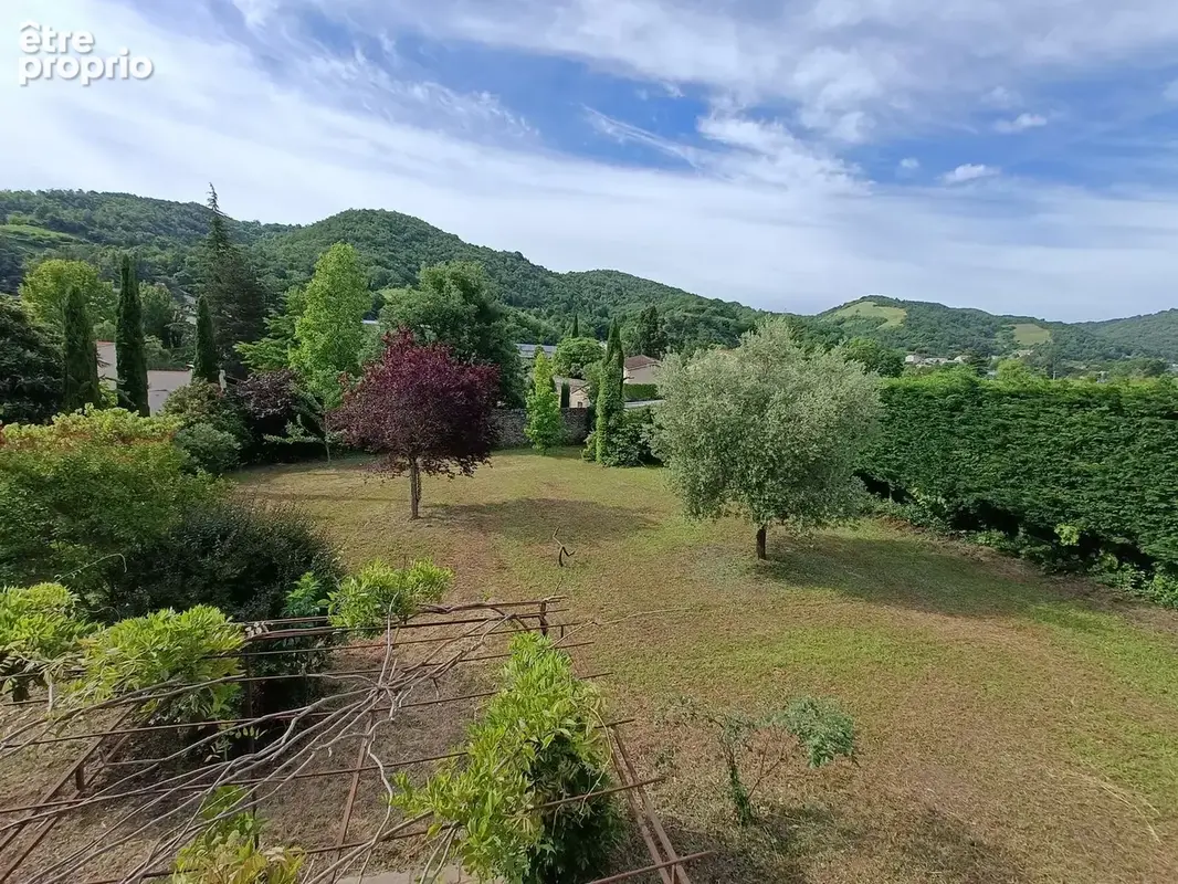 Terrain