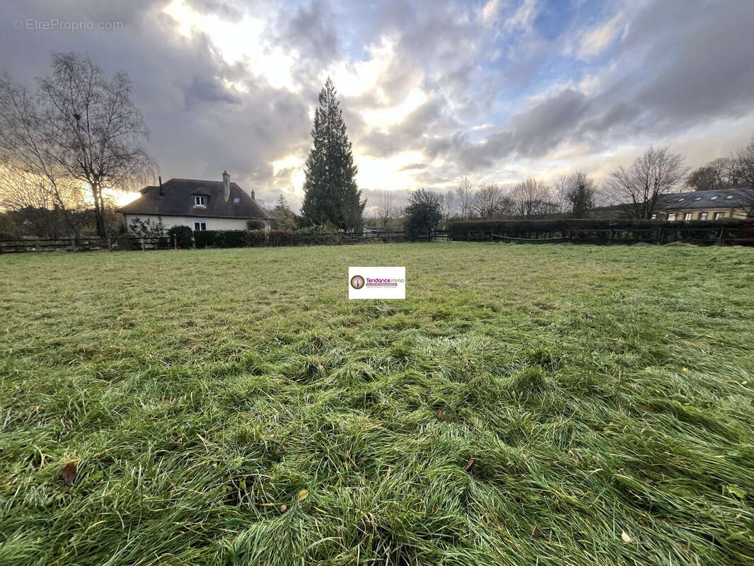 Terrain à COURTOMER