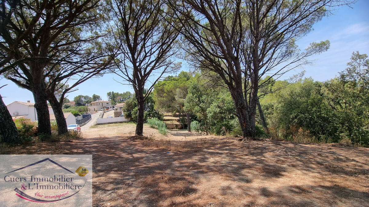 Terrain à PIERREFEU-DU-VAR