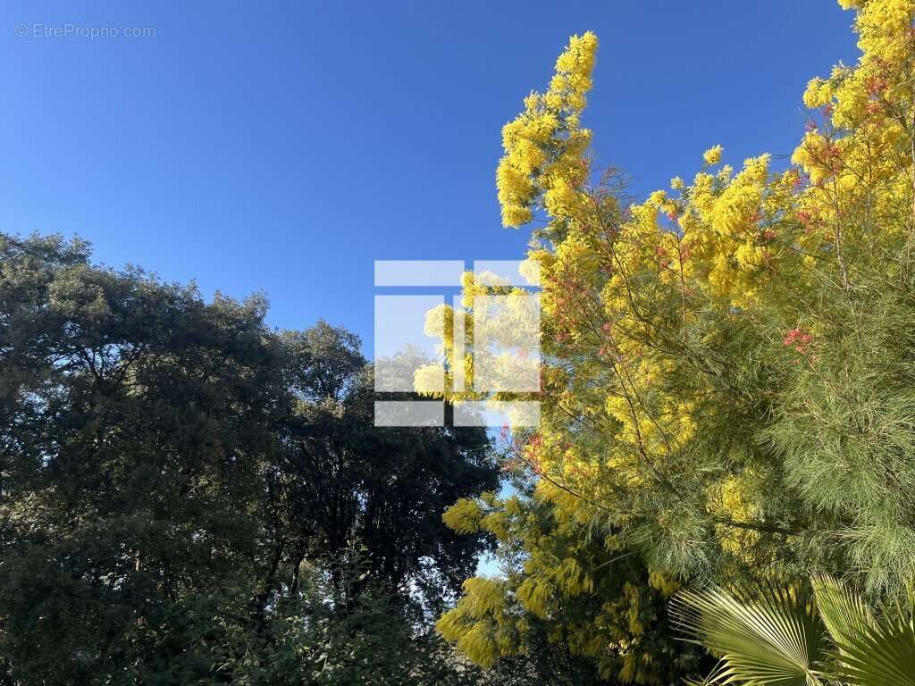 Appartement à PIETROSELLA