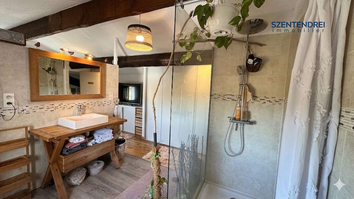 Szentendrei Immobilier - maison + dépendance - LUNEL - Grand terrain  - Maison à LUNEL