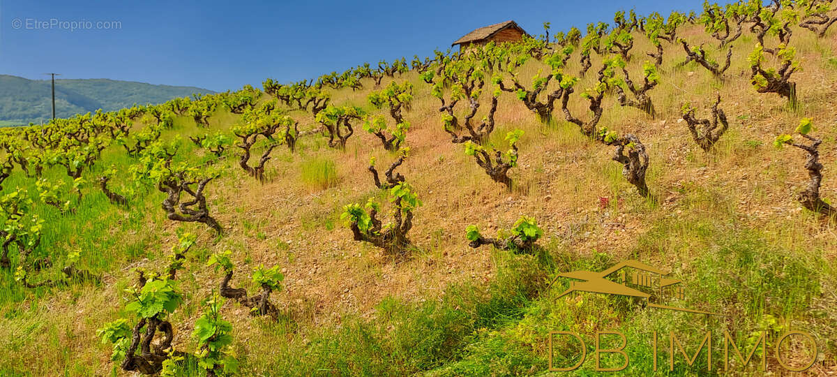 Terrain à JULIENAS
