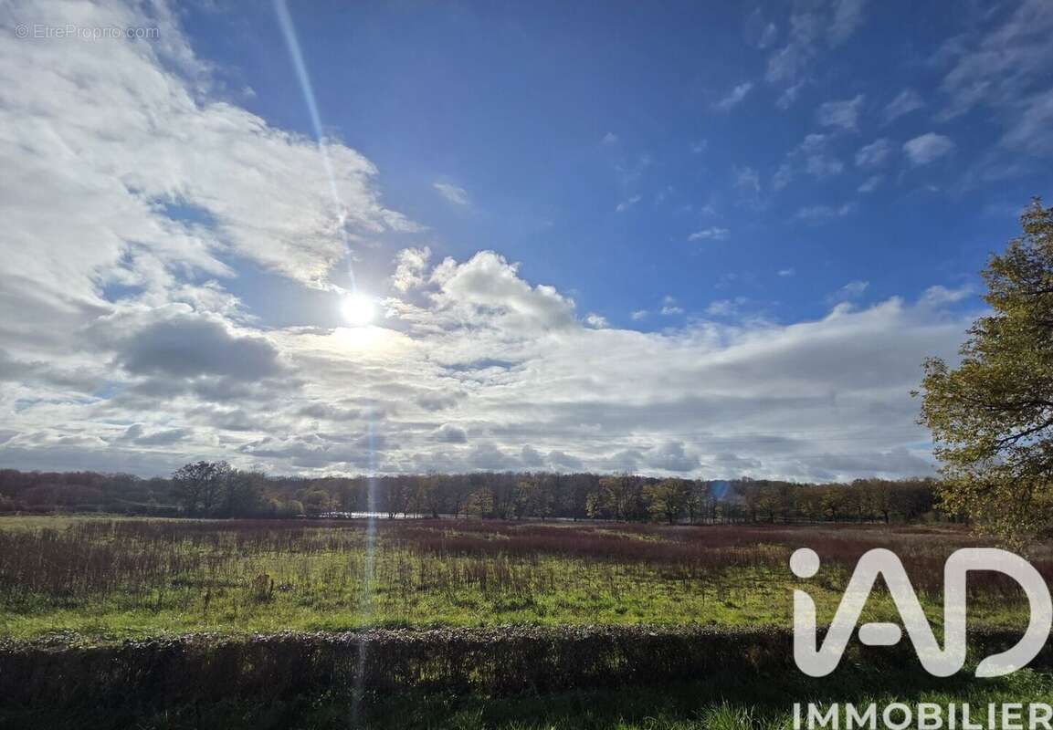 Photo 3 - Terrain à BELABRE