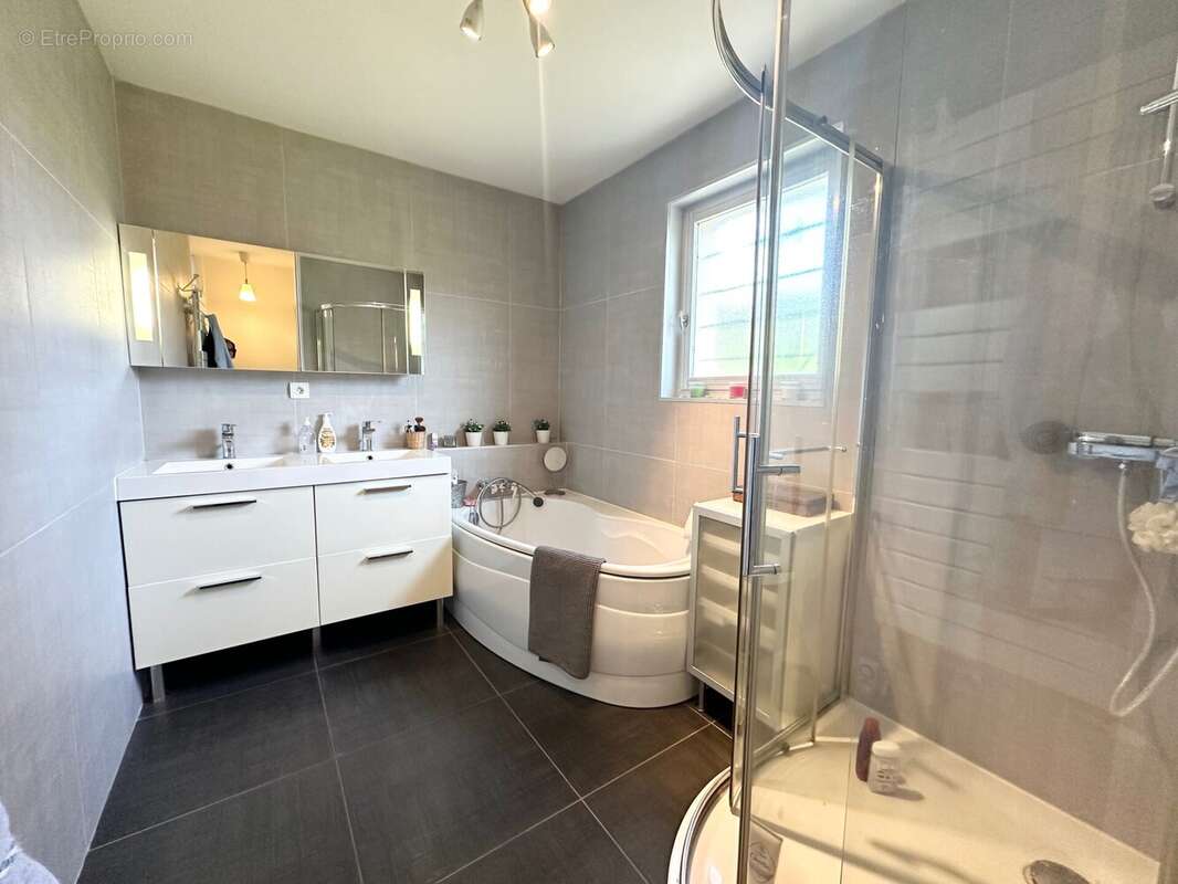 Suite parentale - Maison à MONTREVEL-EN-BRESSE