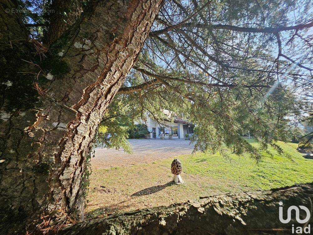 Photo 1 - Commerce à VIRIGNIN