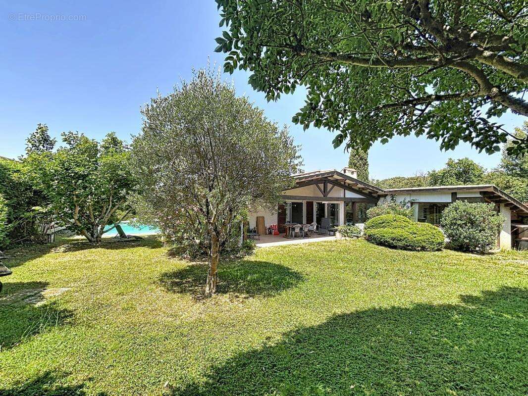 Quint-Fonsegrives Centre – Villa de plain-pied 180 m² • 5 chambres • Bureau • Piscine • Garage 45 m² • Terrain arboré de 900 m² - photo 6