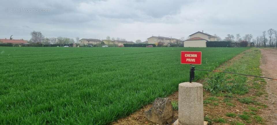 Terrain à ARS-SUR-FORMANS