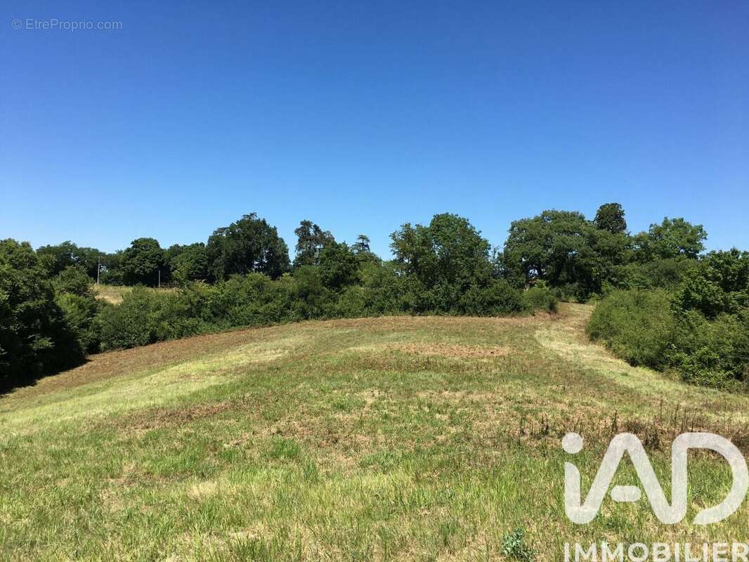 Photo 8 - Terrain à VIVONNE