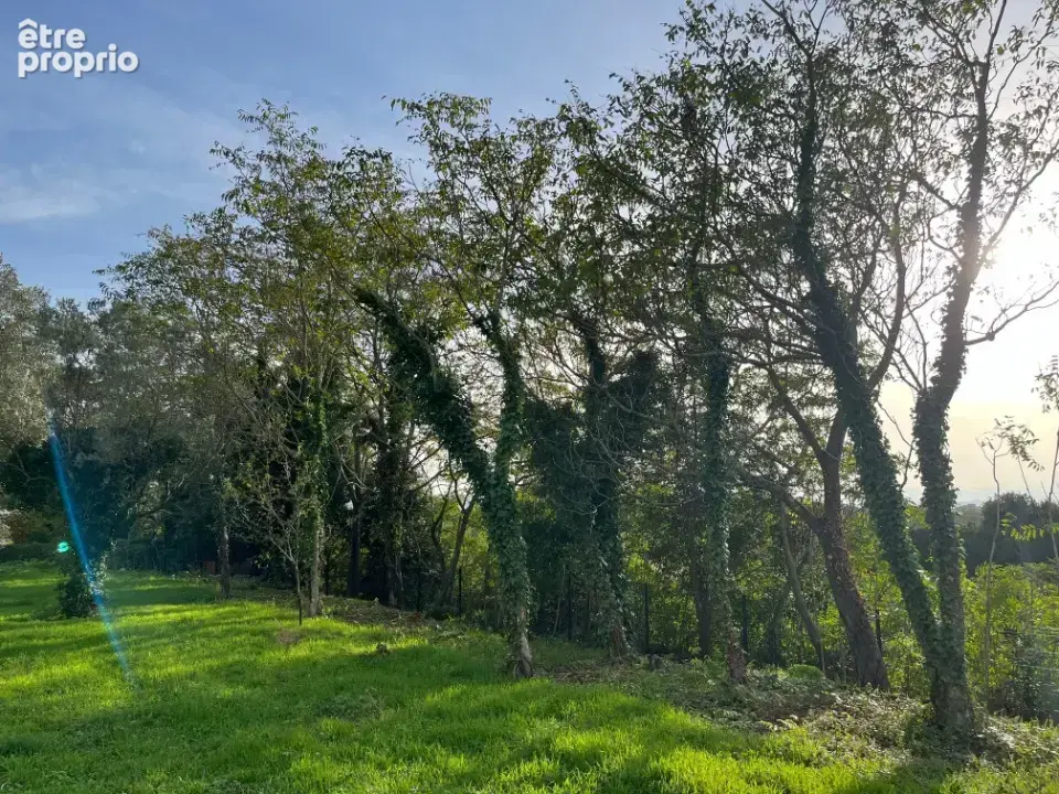 Terrain 256 m² à Bollene  - photo 5