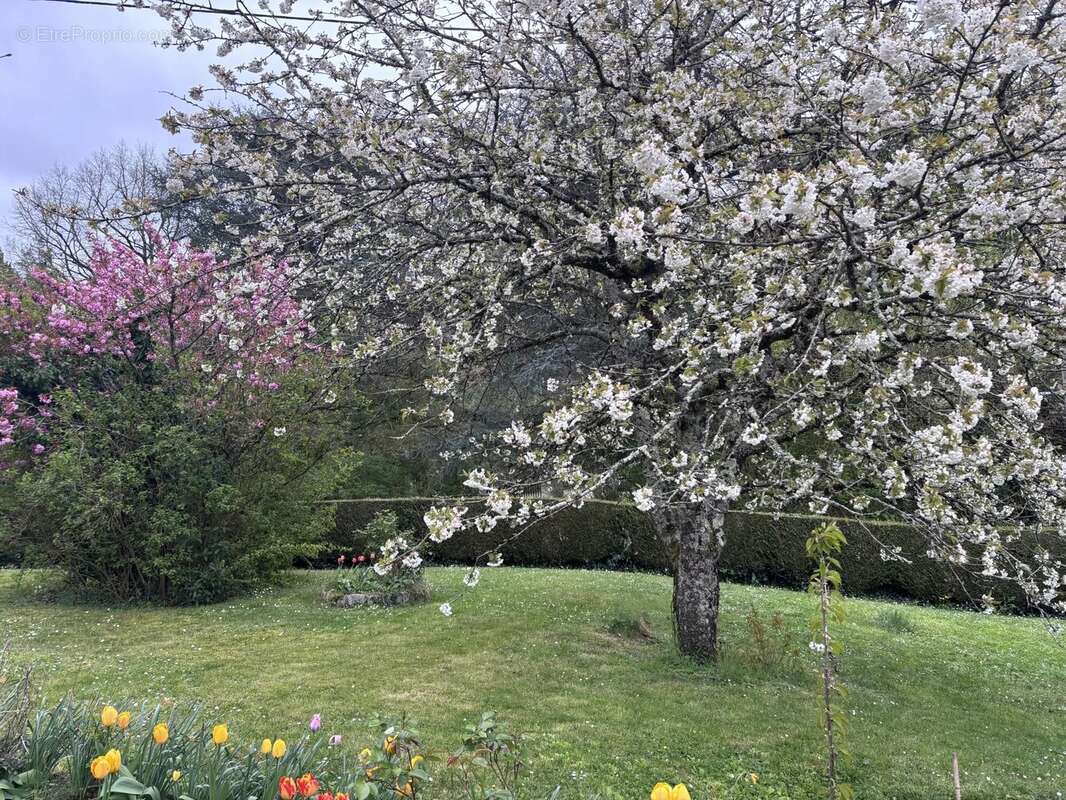 Maison à CINQ-MARS-LA-PILE