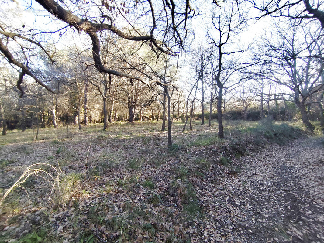 Terrain à ARGELES-SUR-MER