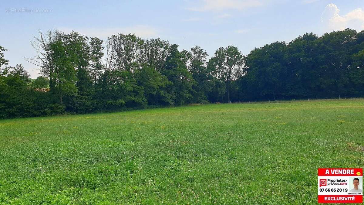 Terrain de 4 165 m² - photo 3