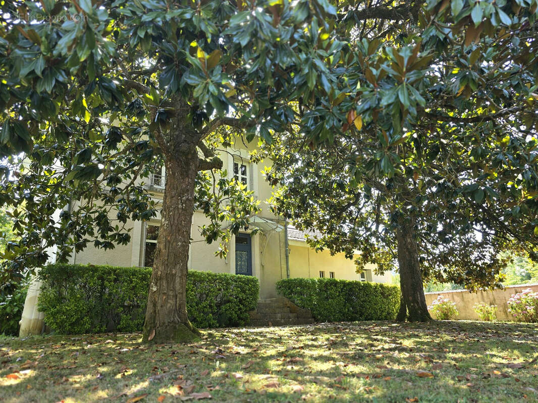 Maison 207 m² à Saint-Leon-Sur-L'isle  - photo 2