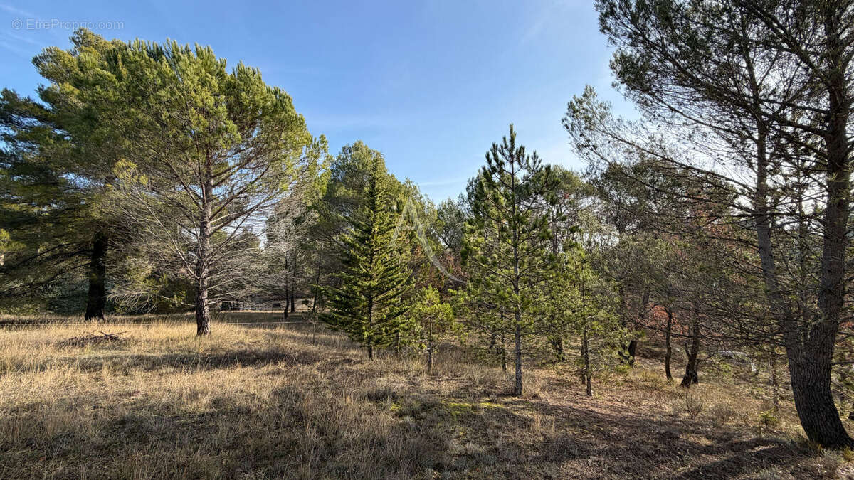 Terrain constructible de 1300m2 a pierrevert - photo 2