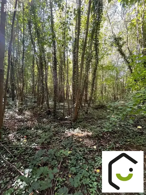 Terrain 2 438 m² à vendre à Montdidier (80500) - photo 2
