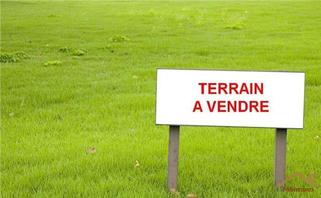 Terrain à VACQUEYRAS