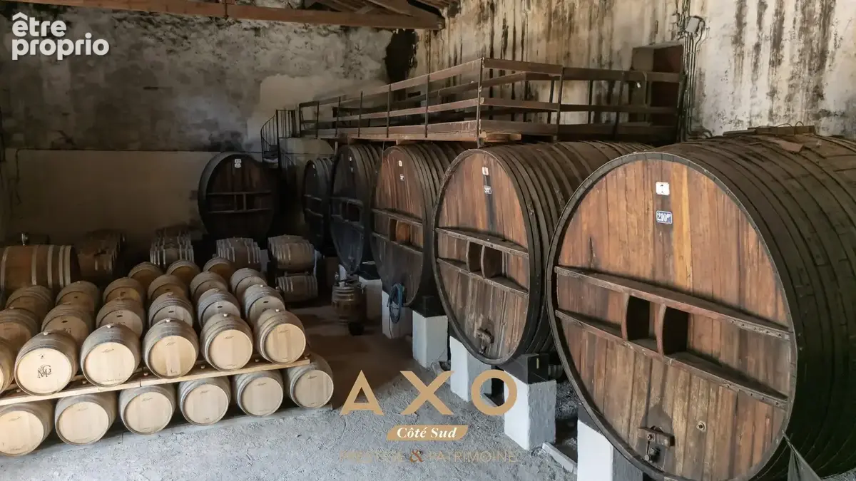Asperes - domaine viticole - 60 hectares - 13 pieces - 875 m² - 3 900 000  - photo 11