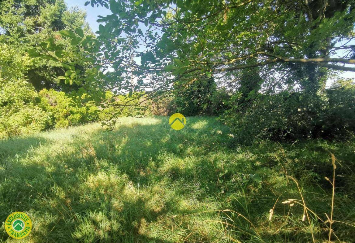 Terrain à GROSSOUVRE