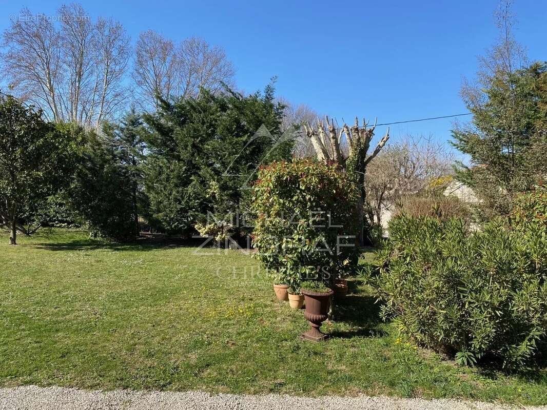 Terrain à SAINT-REMY-DE-PROVENCE