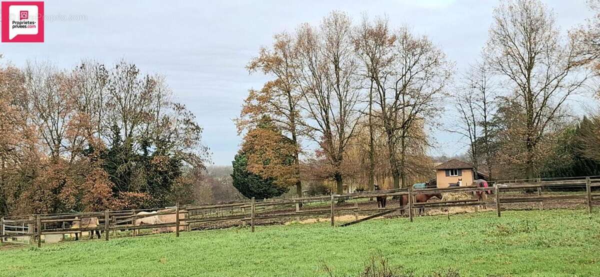 Propriété équestre  dans l 'Ain sur 11 hectares - photo 9