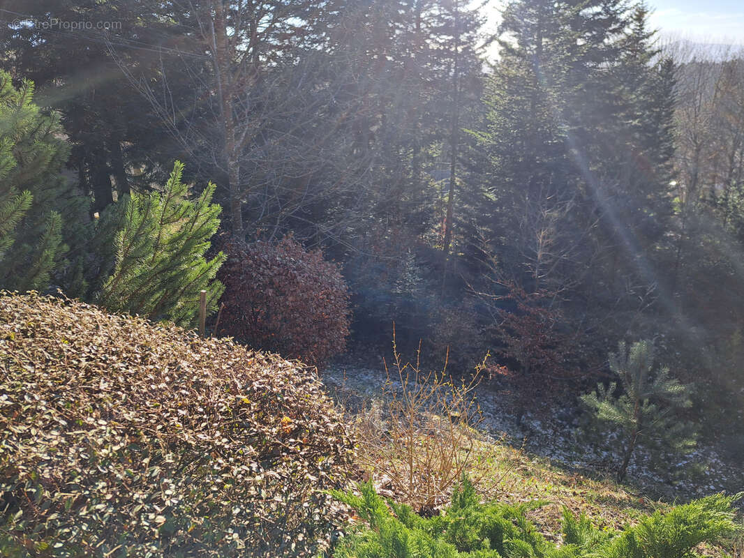 Maison à LE CHAMBON-SUR-LIGNON