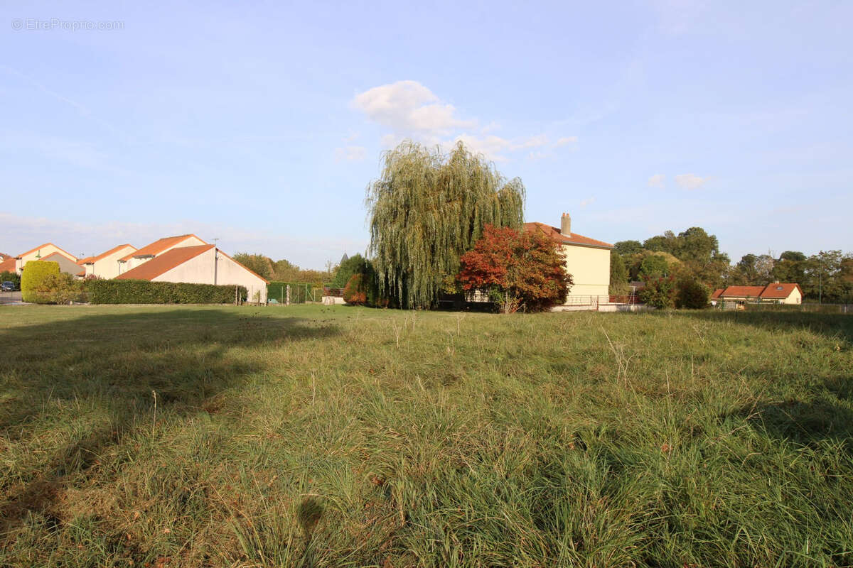 Terrain à SILLEGNY