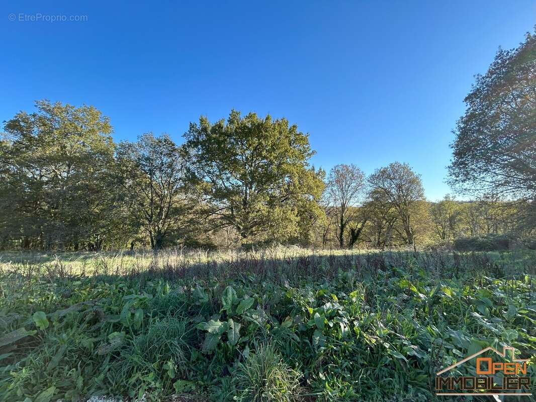Terrain 819 m² à Masclat  - photo 20